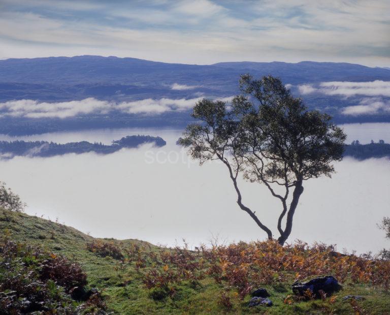 Misty Loch Awe