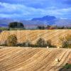 Rolling Fields Trossachs