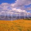 Unusual View Looking Across The Tay Towards The City Of Dundee From The Hills Above Wormit Fife