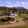 Summer View From Moy Bridge On The Caledonian Canal Towards Ben Nevis