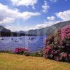 Springtime On Loch Lomond