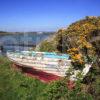 East Coastline On Gigha