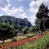 Summer View From Princes Street Gardens Towards The Castle Edinburgh