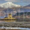 0I5D9423 Castle Stalker