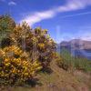 Springtime Loch Lomond