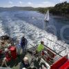 WY3Q1229 Sailing Through Sound OF ISLAY Towards Port Ascaig