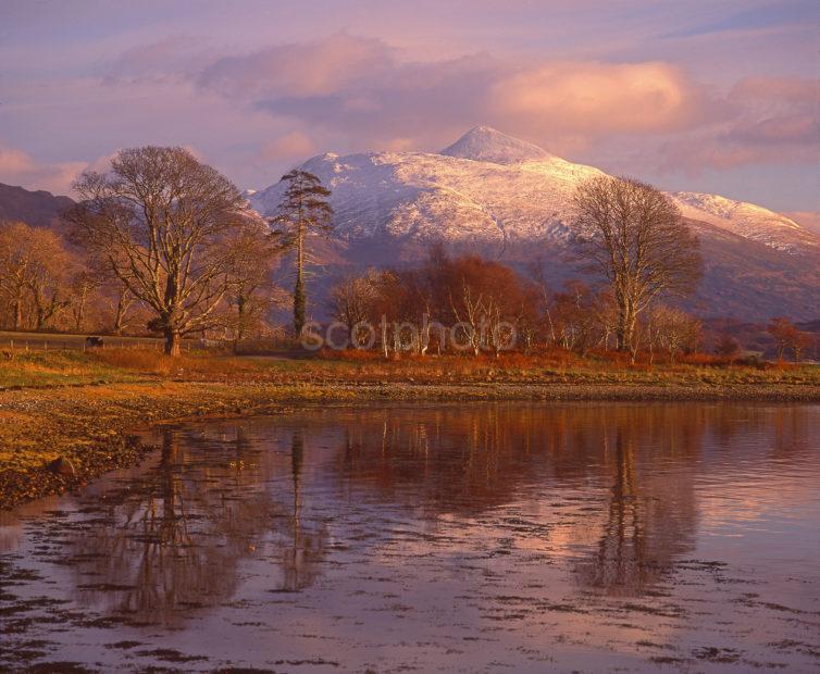 Lovely Autumn View From The Shore Of Loch Etive Towards Ben Cruachan Connel Argyll