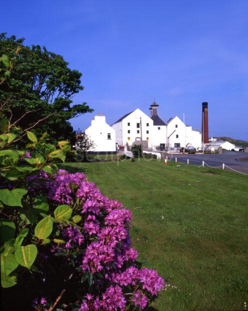 Springtime View Of Lagavuillin Distillery Island Of Islay