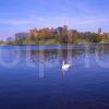 A Peaceful Spring View Across Linlithgow Loch Towards Linlithgow Palace Midlothian Scotland