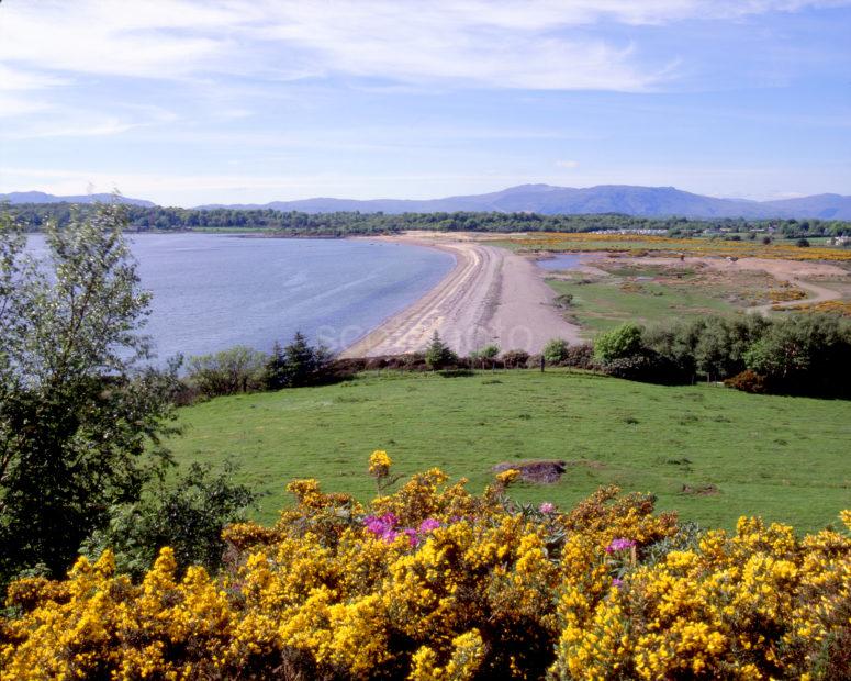 Tralee Bay In Spring From Benderloch