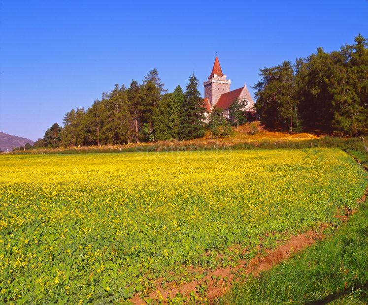 View Of Crathie Church From Across Field Of Rape Seed Royal Deeside Grampian