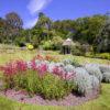 Colourful Walled Garden At Brodick Castle Arran