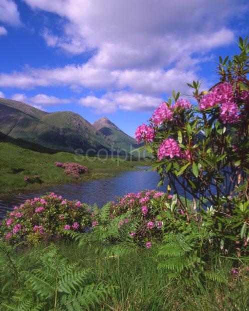 Springtime In Glen Etive From Lochan With Glencoe Hills