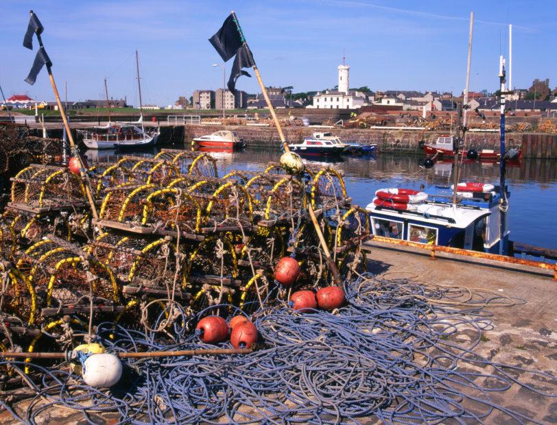 Arbroath Harbour Angus