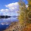 Magnificent Autumn Colours On Loch Garry Looking Westwards West Highlands Lochaber