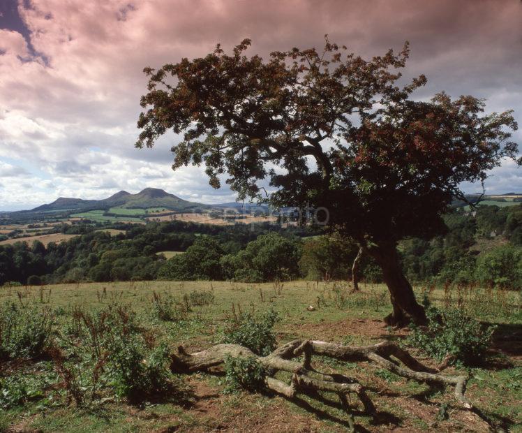 Lovely Landscape View Of The Eildon Hills From Scotts View Scottish Borders