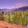 Spring View Of Loch Lochy From Gairlochy Great Glen