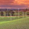 Typical Rolling Countryside Of The Scottish Borders Lit By Early Morning Light Near Kelso Roxburghshire