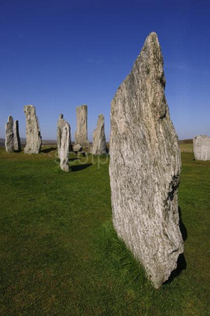 DSC 8940 Callinish Stones