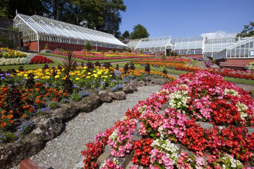 Fantastic Colour At Ardencraig Gardens Rothesay