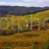 Autumn View Of Carnasserie Castle Kilmartin Glen Argyll