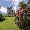 The Castle From Left Corner Shrubs