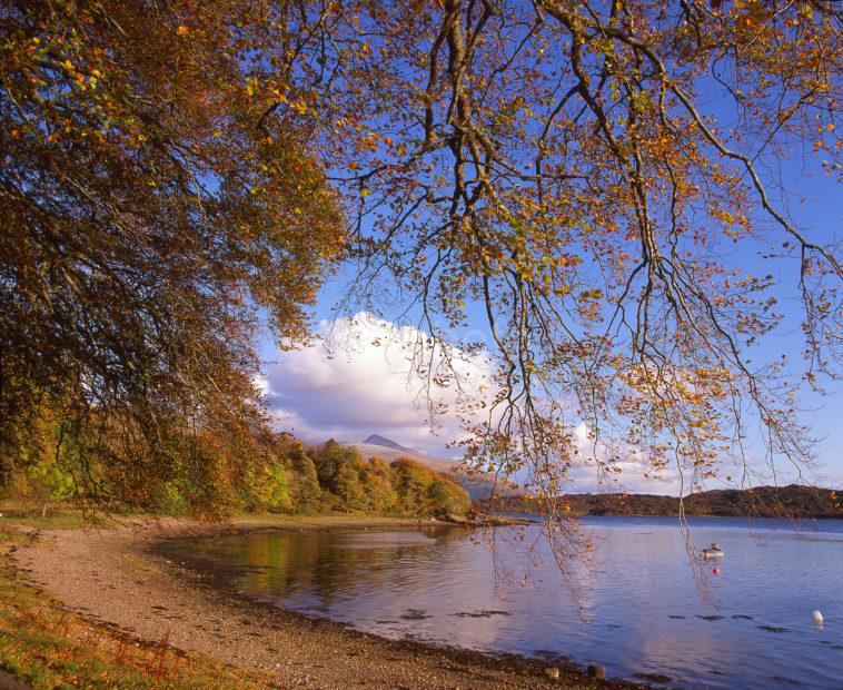 Lovely Autumn View From The Shore Of Loch Etive With Ben Cruachan In View Ardchattan Argyll