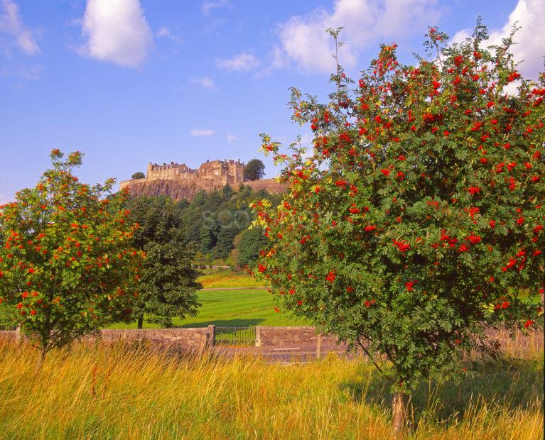 Colourful View Towards Stirling Castle Stirling And Trossachs Region Central Scotland