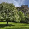 Y3Q9731 Edinburgh Castle