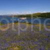 DSC 3852 ISLE OF MULL FERRY PASSES KERRERA WITH DUNOLLIE CASTLE IN VIEW ARGYLL