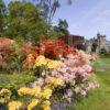 Achnacloich Castle And Garden Argyll Portrait