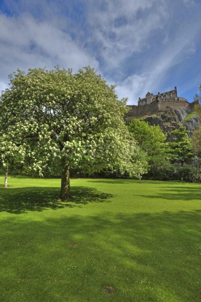 Y3Q9729 Edinburgh Castle