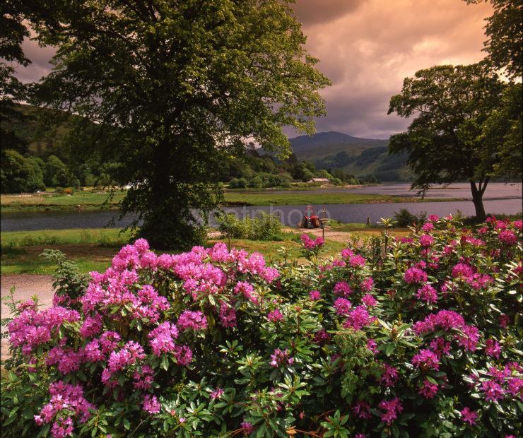 Strontian Loch Sunart