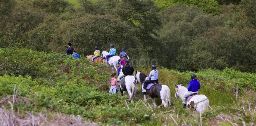 Pony Trekking North Sannox Arran