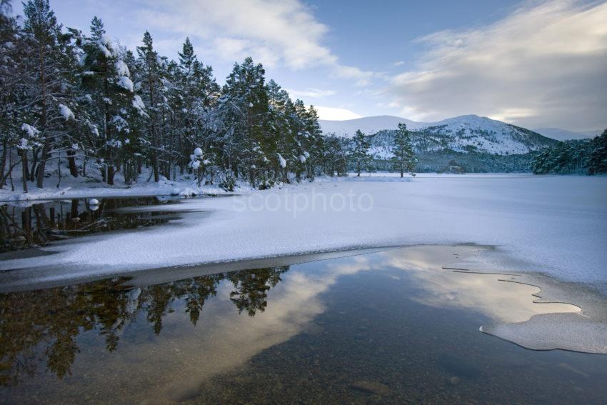 Winter From Shore Of Loch An Eilein Cairngorm Mountains