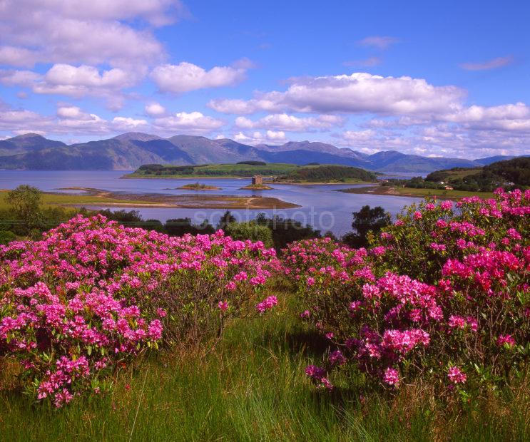 A Colourful Summertime Scene Towards The Stewart Stronghold Of Castle Stalker And The Morvern Hills As Seen From The Slopes Above The Picturesque Village Of Appin Argyll