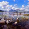 Loch Ba Rannoch Moor Summer