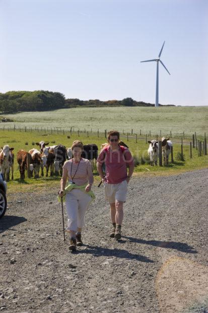 Walking On Gigha With Windmills In View