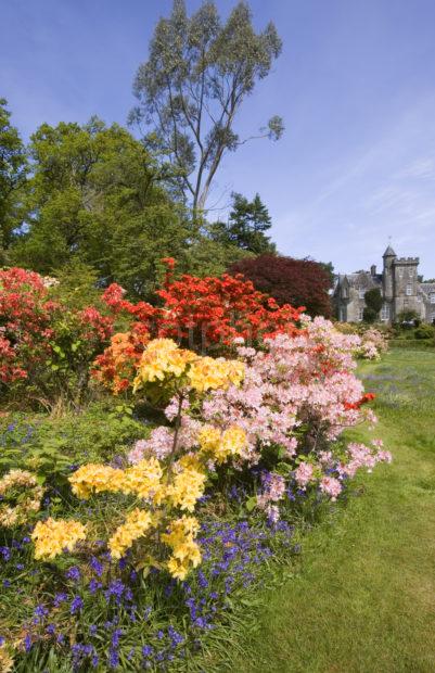 Achnacloich Castle And Garden Argyll Portrait