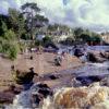 Summer Scene Falls Of Dochart In Killin