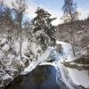 Winter Scene Feshiebridge And River Feshie