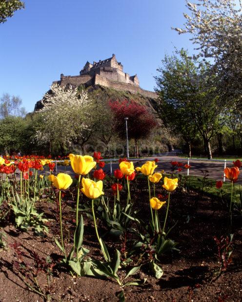 Edinburgh Castle From Princes Street Gardens