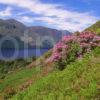 Summer View Overlooking Loch Lochy The Great Glen Highlands Landscape