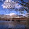 Class 37 409 Hauling Royal Scotsman Across Loch Awe May 1989