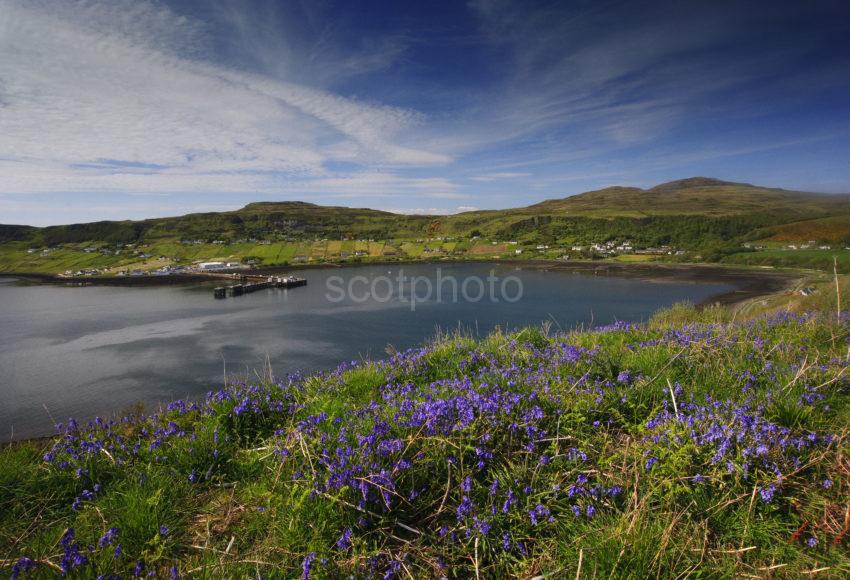 DSC 8860 Bluebells And Uig Bay Skye