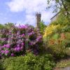 WY3Q0087 Ardmaddy Castle And Gardens