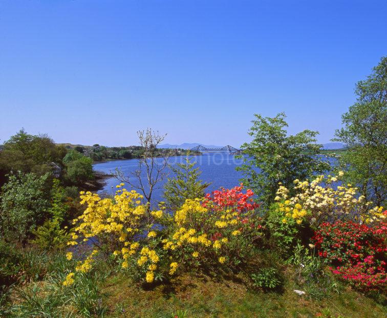 Magnificent Spring Colours On Loch Etive With Distant Connel View And Mull Connel Argyll