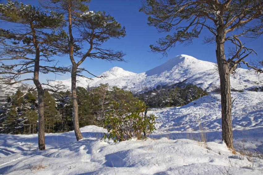 Great Shot Lochailort Hilside Snow Untouched