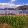 Summer View Of The Corran Sound Towards Ardgour Loch Linnhe West Highlands