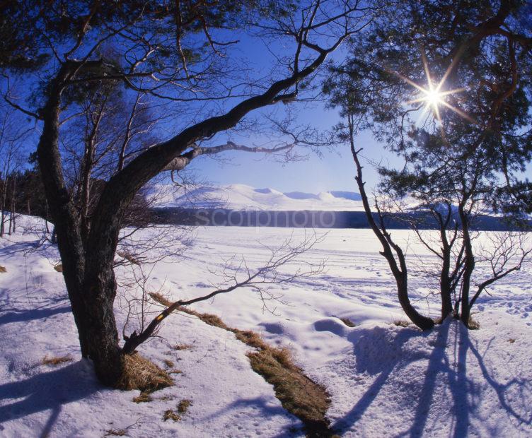 Loch Morlich